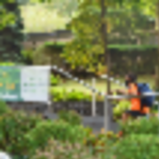 This Spring, Learn How Your Child Can Blossom at The Elisabeth Morrow School [dedicated]