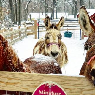 Things to Do in Bergen County Week of February 24