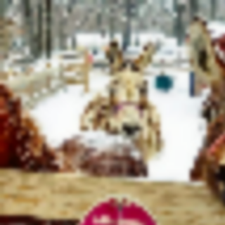 Things to Do in Bergen County Week of February 24