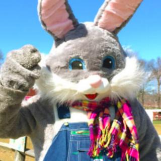 Things to Do in Bergen County Week of March 31