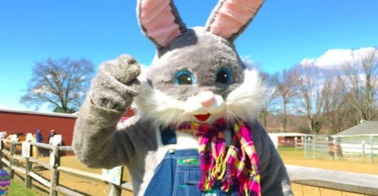 Things to Do in Bergen County Week of March 31