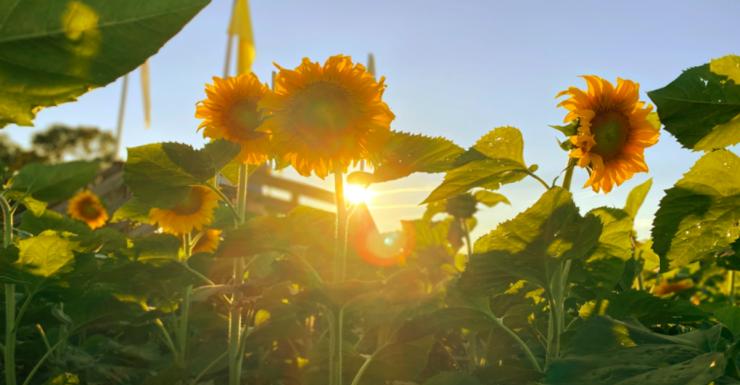 Things to Do in Bergen County Week of September 3