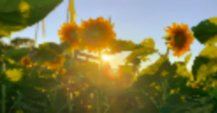 Things to Do in Bergen County Week of September 3