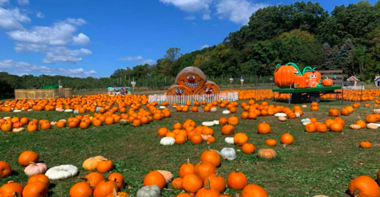 Things to Do in Bergen County Week of October 2