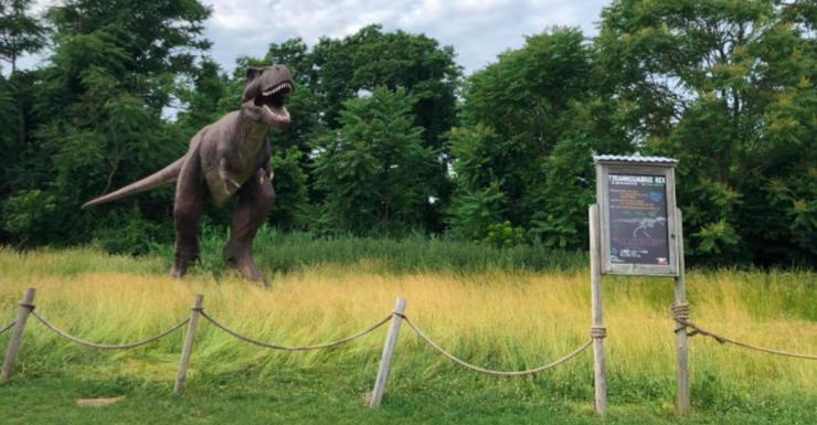 Things to Do in Bergen County Week of May 25