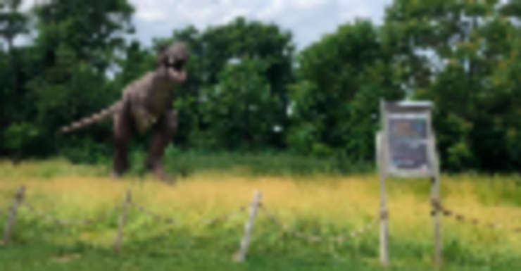 Things to Do in Bergen County Week of May 25