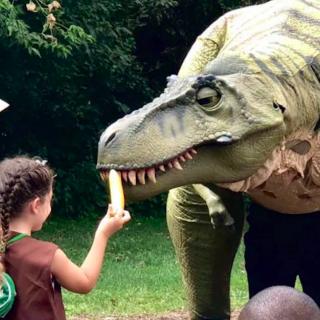 Things to Do in Bergen County Week of May 23