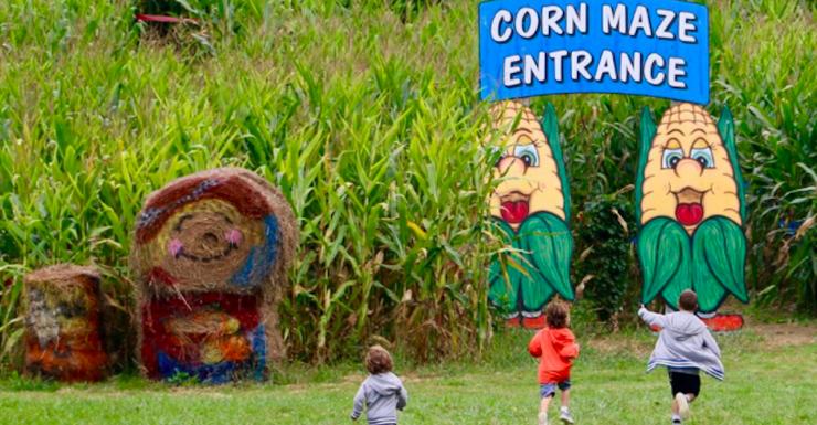 Things to Do in Bergen County Week of September 12