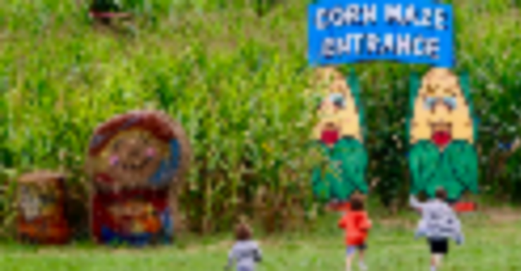 Things to Do in Bergen County Week of September 12