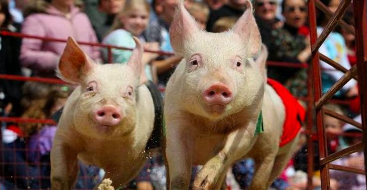 Things to Do in Bergen County Week of September 14