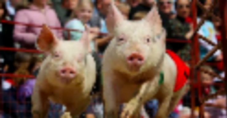 Things to Do in Bergen County Week of September 14