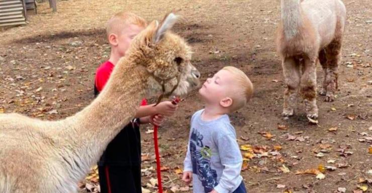 Things to Do in Bergen County Week of January 27