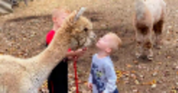 Things to Do in Bergen County Week of January 27