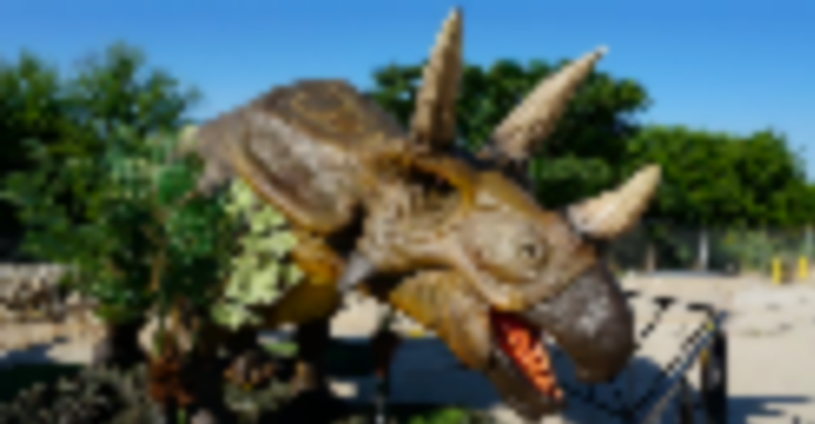 Things to Do in Bergen County Week of October 8