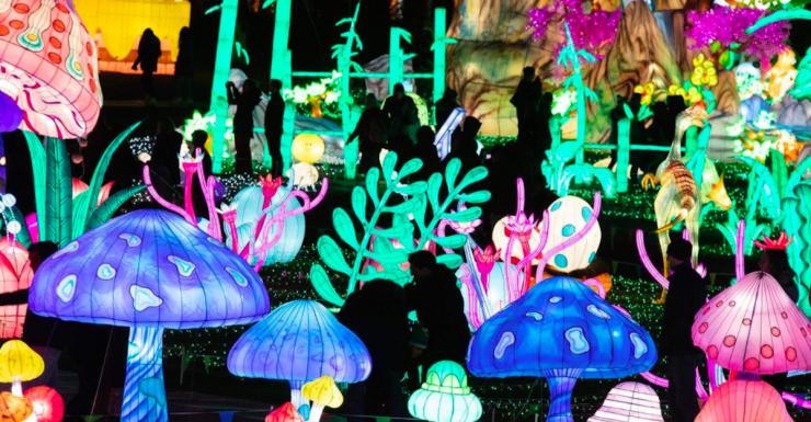 Things to Do in Bergen County Week of November 24