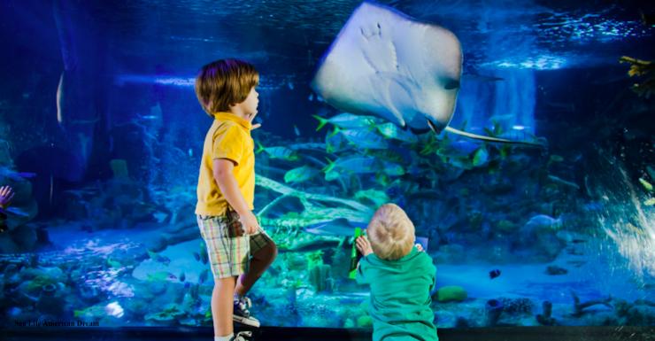 Things to Do in Bergen County Week of June 16