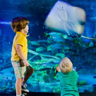 Things to Do in Bergen County Week of June 16