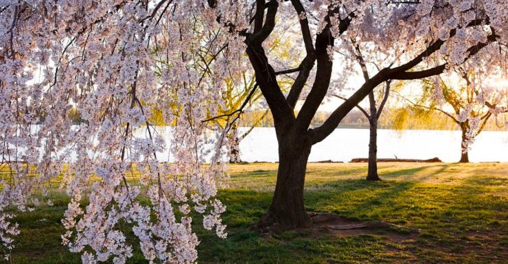 Things to Do in Bergen County Week of March 17