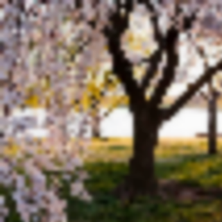 Things to Do in Bergen County Week of March 17