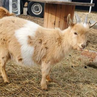 Things to Do in Bergen County Week of January 13