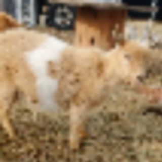 Things to Do in Bergen County Week of January 13