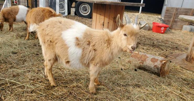 Things to Do in Bergen County Week of January 13