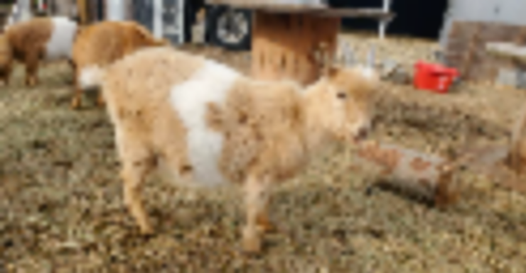 Things to Do in Bergen County Week of January 13