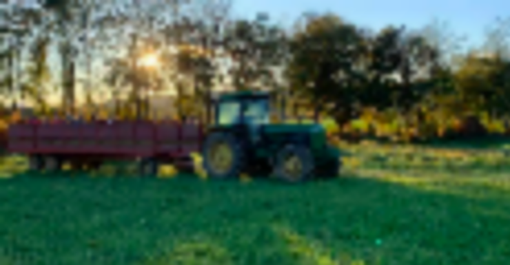 Things to Do in Bergen County Week of September 17