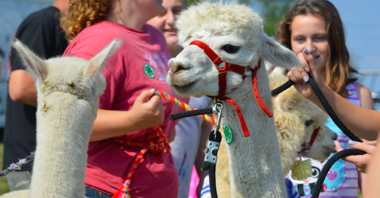 Things to Do in Bergen County Week of August 14