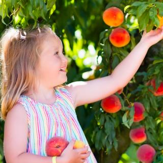 Things to Do in Bergen County Week of June 30