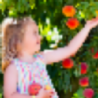 Things to Do in Bergen County Week of June 30