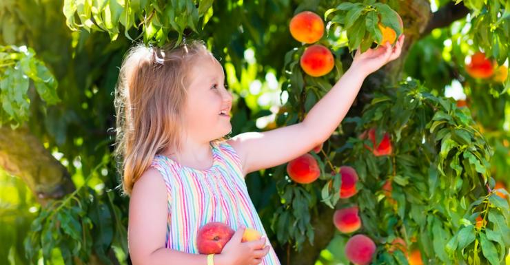 Things to Do in Bergen County Week of June 30