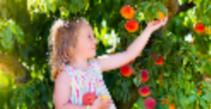 Things to Do in Bergen County Week of June 30