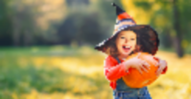 Things to Do in Bergen County Week of October 27