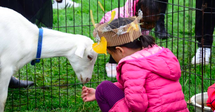 Things to Do in Bergen County Week of October 9