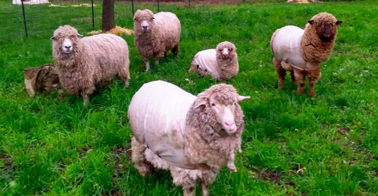 Things to Do in Bergen County Week of May 5