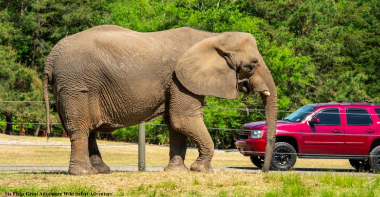 Things to Do in Bergen County Week of April 7