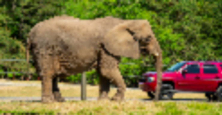 Things to Do in Bergen County Week of April 7