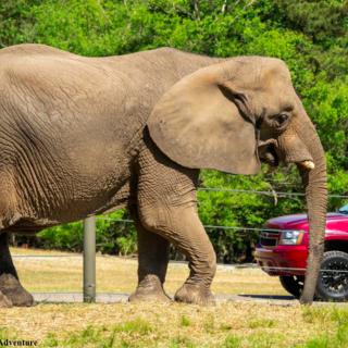 Things to Do in Bergen County Week of April 7