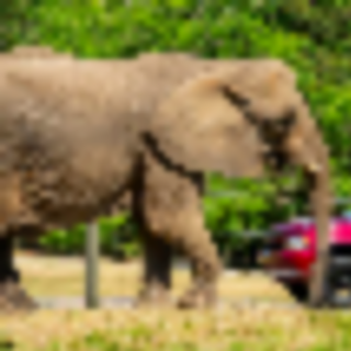 Things to Do in Bergen County Week of April 7