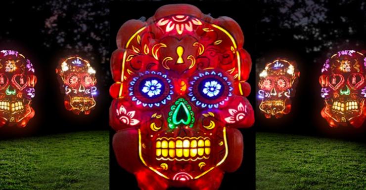 Things to Do in Bergen County Week of September 23