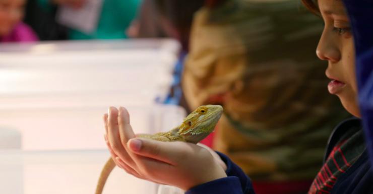 Things to Do in Bergen County Week of January 19