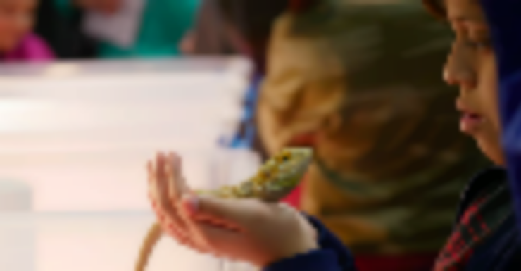 Things to Do in Bergen County Week of January 19