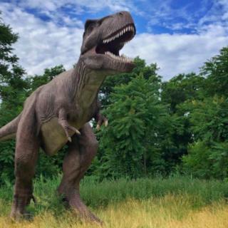 Things to Do in Bergen County Week of June 9