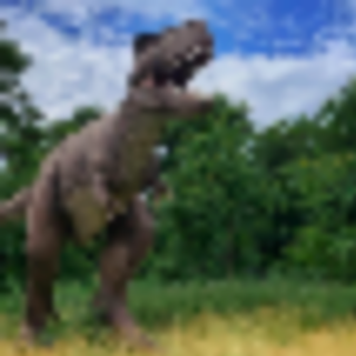 Things to Do in Bergen County Week of June 9