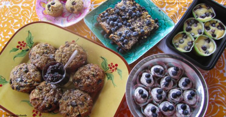 Things to Do in Bergen County Week of July 7