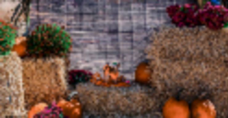 Things to Do in Bergen County Week of October 20