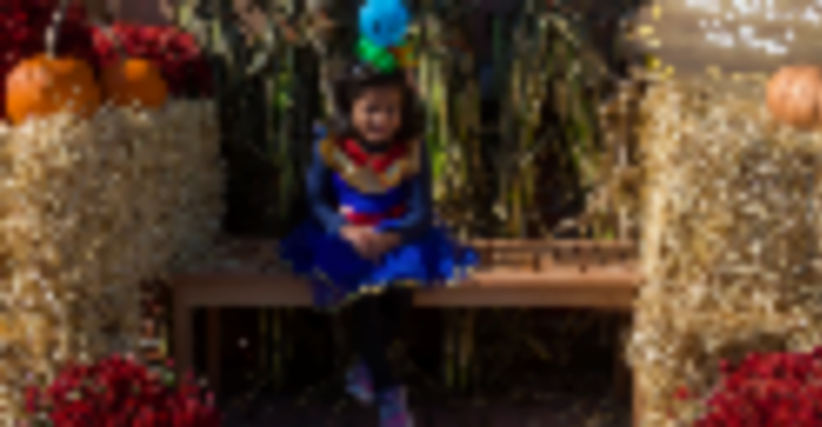 Things to Do in Bergen County Week of October 14