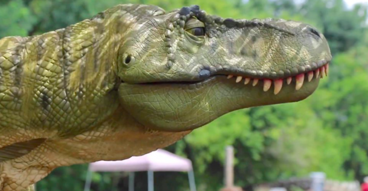 Things to Do in Bergen County Week of November 6