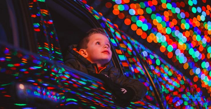 Things to Do in Bergen County Week of November 11